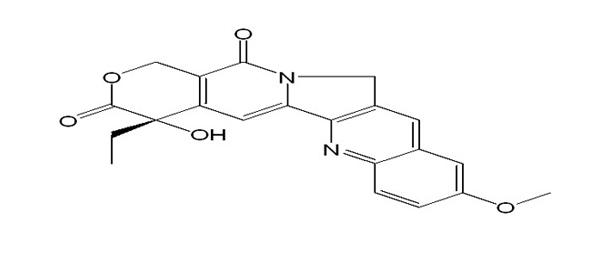 苦参碱厂家98%_南京广润生物制品