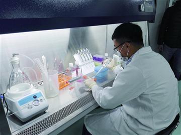 打造国家级基因工程抗体研究中心